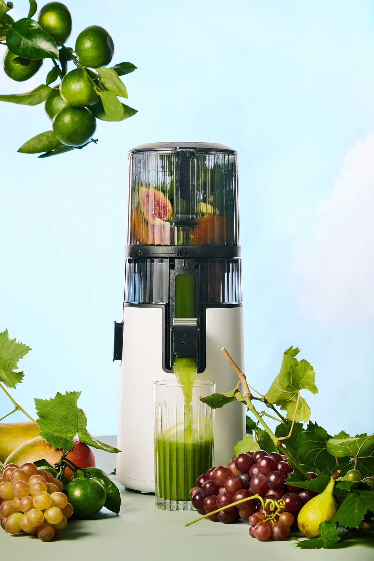 Hurom Slow Juicer H70FT (2. Chance)