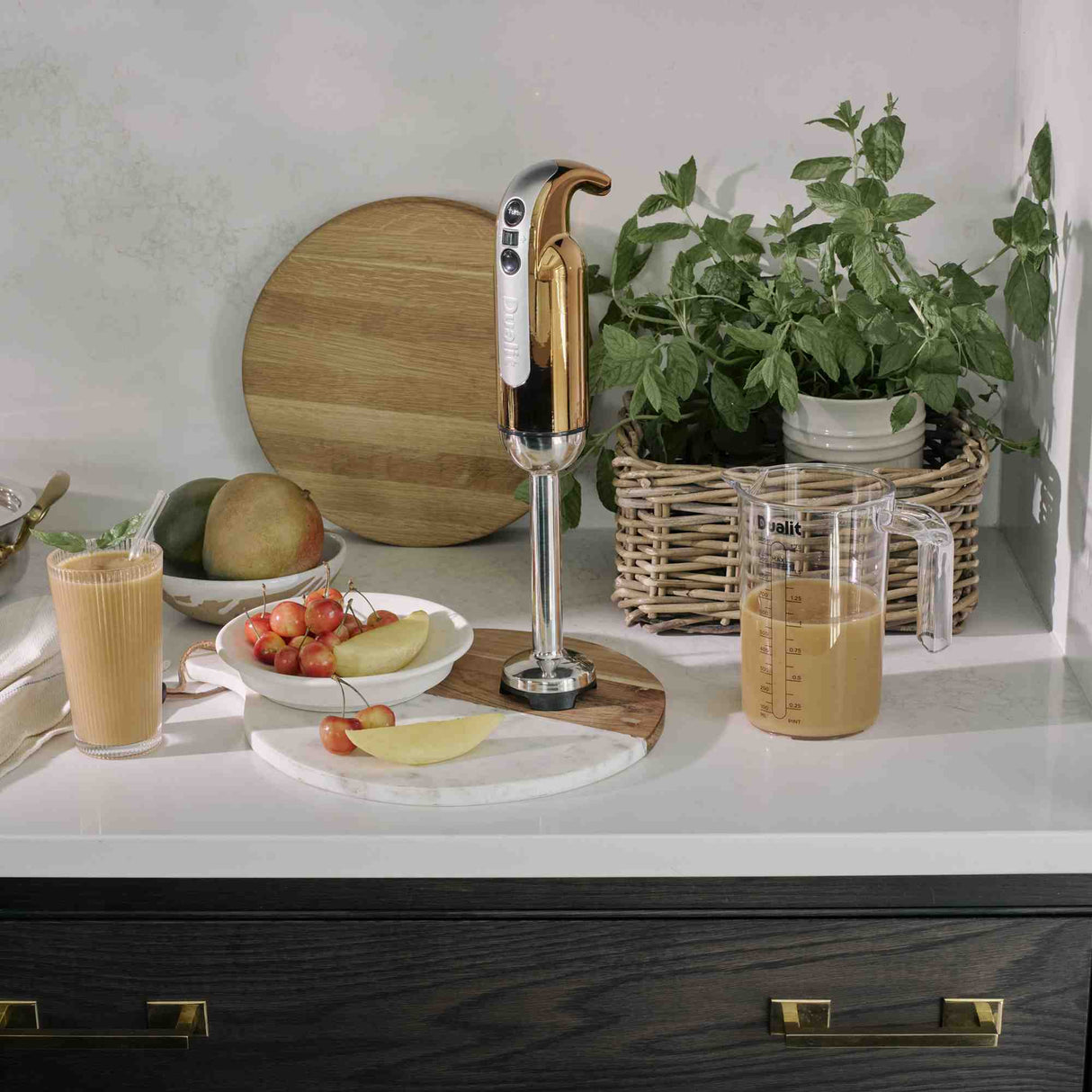 Dualit Stabmixer