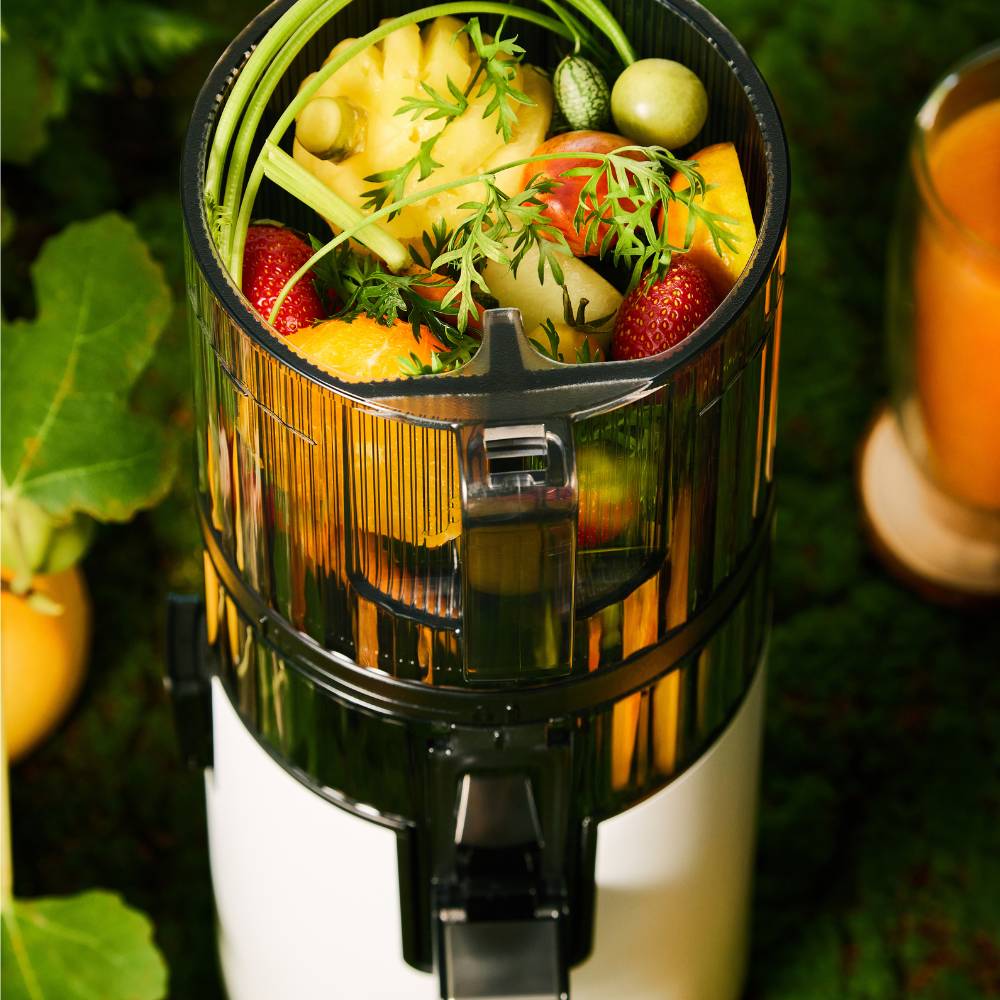 Hurom Slow Juicer H70ST (2. Chance)