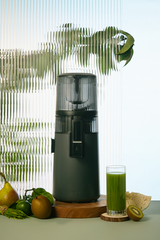 Hurom Slow Juicer H70FT (2. Chance)