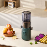 Slow Juicer H310A Hurom (2. Chance)