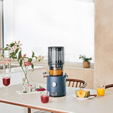 Hurom Slow Juicer H330P