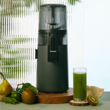 Hurom Slow Juicer H70ST (2. Chance)